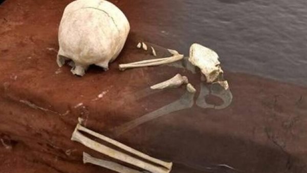 عظام بشرية - صورة