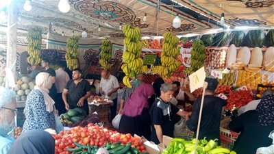 للاستفادة من تخفيضات الأسعار.. إقبال كثيف من المواطنين على سوق اليوم الواحد بالمنصورة