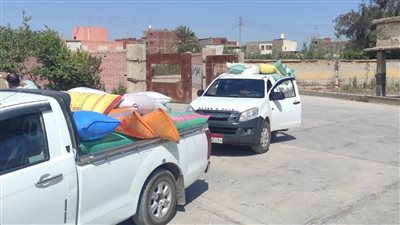 توريد أكثر من 248 ألف طن قمح منذ بدء موسم الحصاد في البحيرة