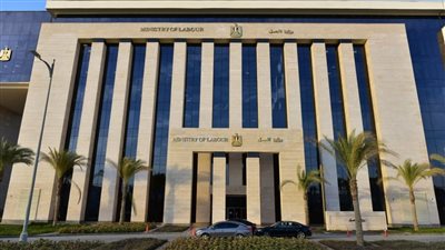 وظائف خالية في الأردن.. 6 فرص مميزة للمهتمين بمجال تربية الطيور 