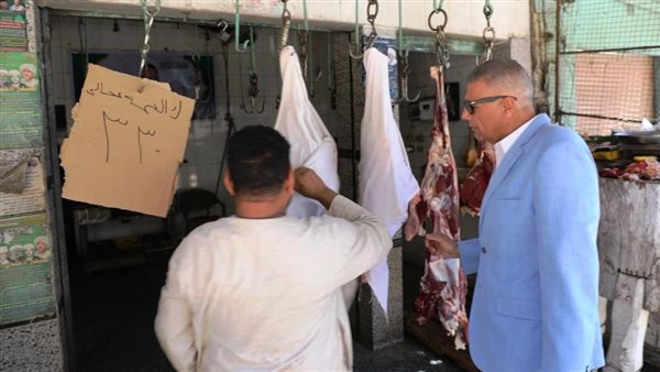 محافظ أسوان