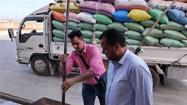 توريد القمح لشون