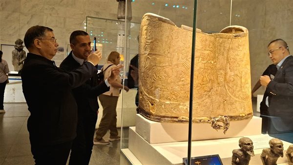 جانب من الاستقبال