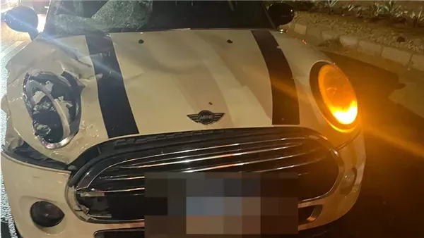 جانب من الواقعة