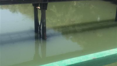 هرب من الحر للموت.. مصرع طالب إعدادي غرقًا خلال الاستحمام داخل ترعة في قنا