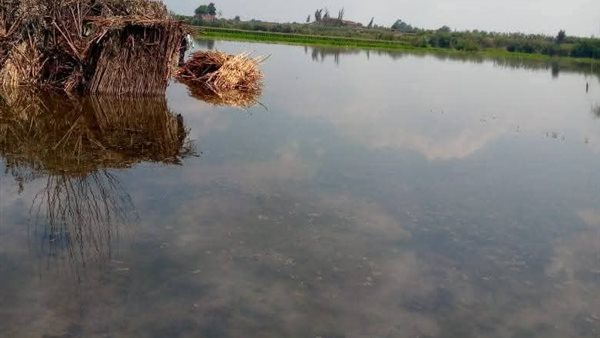 أراضي طرح النهر بالمنوفية-