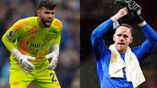 مات سيلس ودافيد رايا