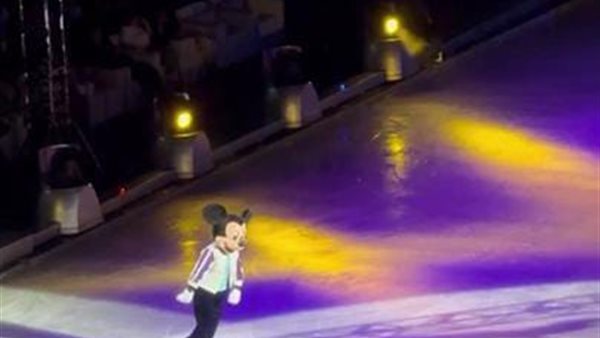 جانب من العروض 