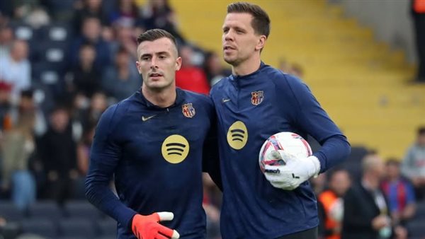 تشيزني وبينيا حارسي