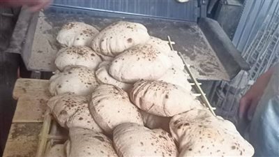 محافظ أسيوط: ضبط 6 أطنان قمح مسوس وتحرير 571 محضرًا خلال حملات تموينية مكثفة