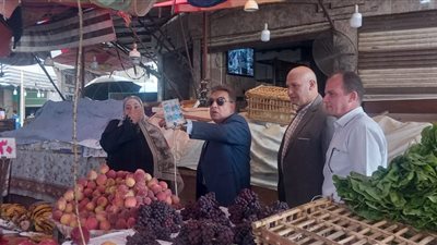 محافظ الدقهلية في جولة مفاجئة بالمنصورة: حملات يومية لرفع الإشغالات ومصادرة التكاتك المخالفة