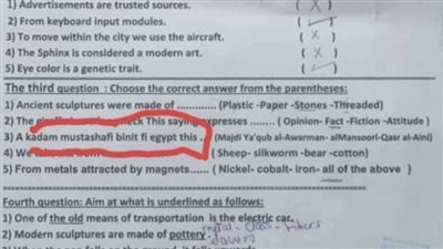 سؤال بالفرانكو في مادة متعدد التخصصات للصف الثالث الابتدائي بالبحيرة.. وأول إجراء من التعليم 