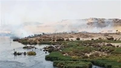 مصدر ينفي اندلاع حريق في محمية سالوجا وغزال بأسوان