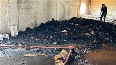 بورسعيد × 24 ساعة| السيطرة على حريق مصنع أسماك.. واستعدادات مكثفة لعيد الأضحى