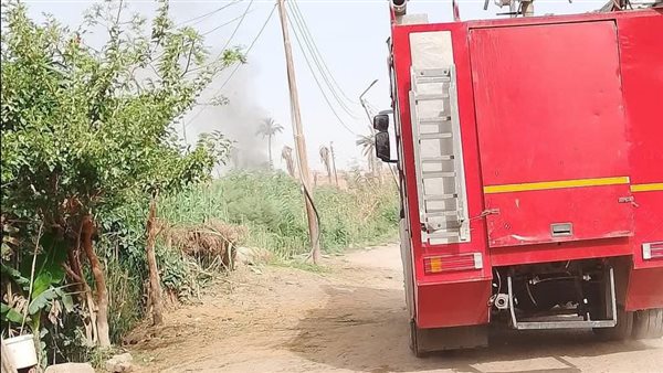 حريق بمزرعة في السويس