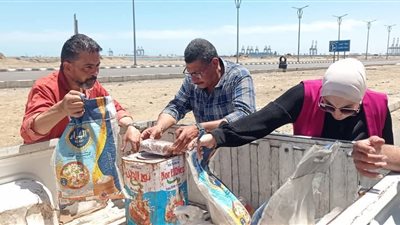 تموين بورسعيد يواصل حملاته الرقابية ويضبط سلعًا فاسدة ومخبوزات غير مطابقة| تفاصيل