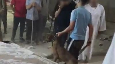 بسلاح أبيض وكلب.. القبض على شخصين مارسا أعمال البلطجة بالجيزة