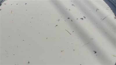 لاحتوائها على حشرات.. التحفظ على 900 لتر من الألبان غير الصالحة للاستهلاك الآدمي بالبحيرة