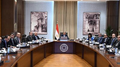 مدبولي يؤكد استمرار جهود الحكومة لتحقيق المستهدف الخاص باستدامة المسار النزولي للدين الخارجي