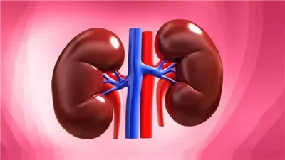  أم تناشد بتوفير العلاج لنجلها المصاب بفشل كلوي مزمن: ابني زياد عمره 13 سنة وبيتألم كل يوم