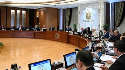 للشباب.. الحكومة توافق على توفير 3 آلاف سيارة تاكسي تعمل بالغاز الطبيعي و1000 ربع نقل 