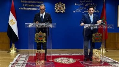 وزير الخارجية يسلم نظيره المغربي رسالة من الرئيس السيسي إلى ملك المغرب