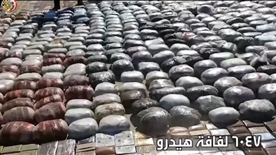  ضربة قوية لمهربي المخدرات.. قوات حرس الحدود تضبط شحنة بمليار و200 مليون جنيه