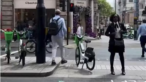 عصابات النشل المنظمة