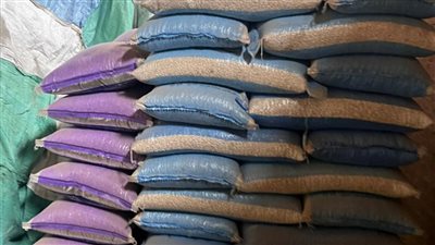 صحة القليوبية تضبط كميات من الفول المدشوش غير صالحة للاستهلاك بشبين القناطر