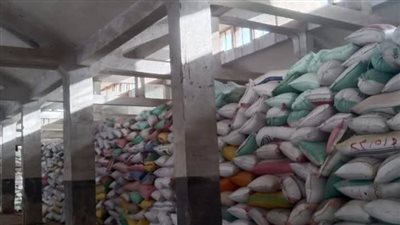 شون وصوامع البحيرة تستقبل 290 ألف طن قمح حتى الآن