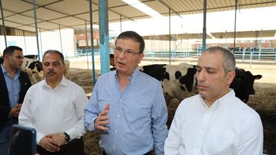 لتوفير مواشي ذات إنتاجية عالية.. الزراعة تطلق المرحلة الثانية من مبادرة إحلم لدعم صغار المربين