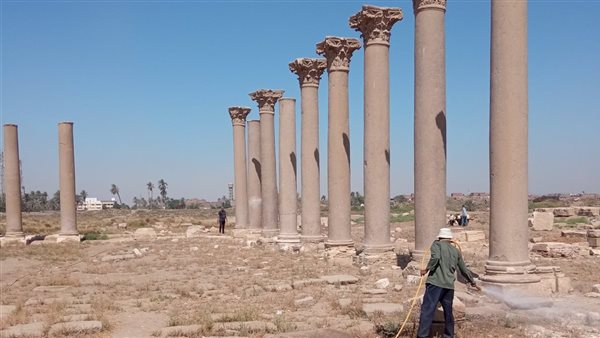 إزالة الحشائش فى