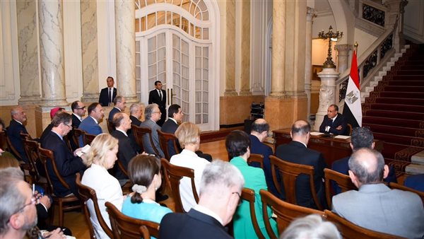 وزير الخارجية يلتقى