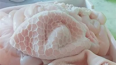 طريقة تنظيف الكرشة بالخل في 7 خطوات فقط.. ووصفة أخرى بالأسبرين والبيكنج بودر