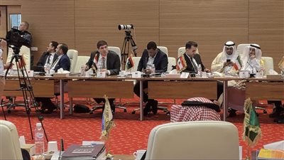 التعليم العالي تقدم مقترحًا لدعم المسار المهني بالمنظمة العربية للتربية والثقافة والعلوم