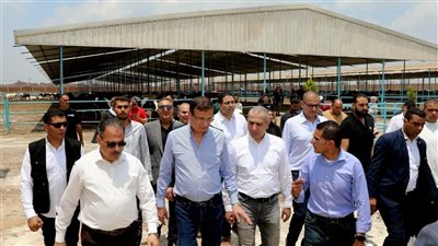 وزير الزراعة ومحافظ الشرقية ورئيس البنك الزراعي يتابعون أعمال تسليم القمح