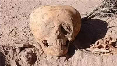 قد تكون لكائنات فضائية.. عمال يعثرون على جماجم غريبة الشكل في الأرجنتين
