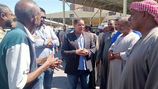 دكتور هشام الشيمي