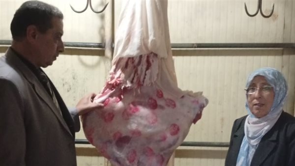 جانب من الحملة 