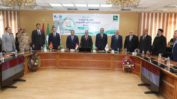 الجهود التنفيذية