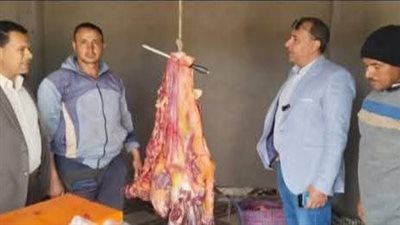 الوادي الجديد تطرح لحومًا بلدية بـ280 جنيها للكيلو