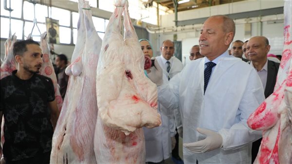  محافظ القاهرة في