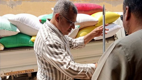 توريد محصول القمح