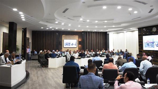 محافظ أسوان