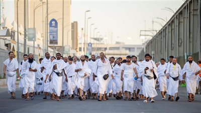 أمين الفتوى: المرشد الديني المرافق للحجاج يجب أن يكون مُؤهَّلا للفتوى