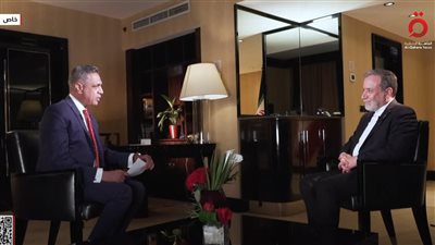 وزير الخارجية الإيراني: ندعم جهود مصر وقطر لوقف إطلاق النار في غزة والتوصل لحل عادل للقضية الفلسطينية