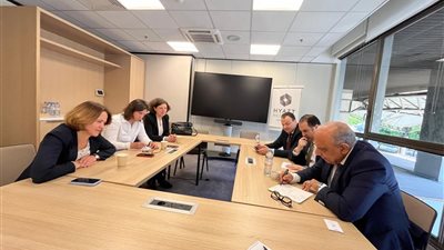 وزير الكهرباء يبحث مع مجموعة E D F الفرنسية الشراكة في مجالات الطاقات المتجددة