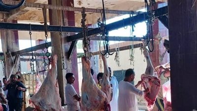 محافظ أسوان يقرر تشكيل لجنة لمنع ذبح لحوم الأضاحى بالطرق والشوارع.. وتوقيع غرامات مالية رادعة