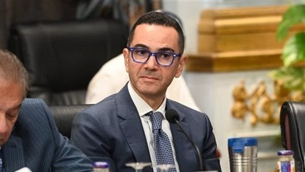 وزير الاستثمار