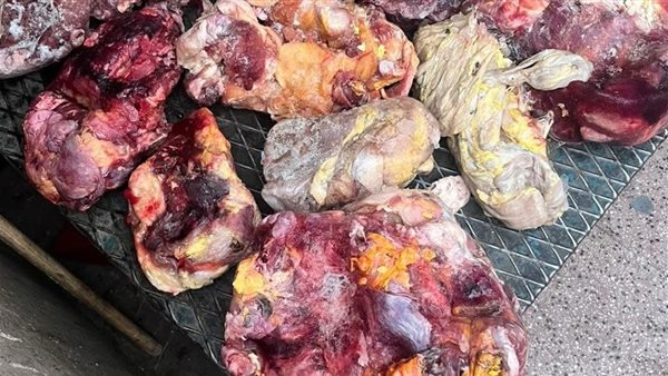 ضبط لحوم فاسدة بالأقصر